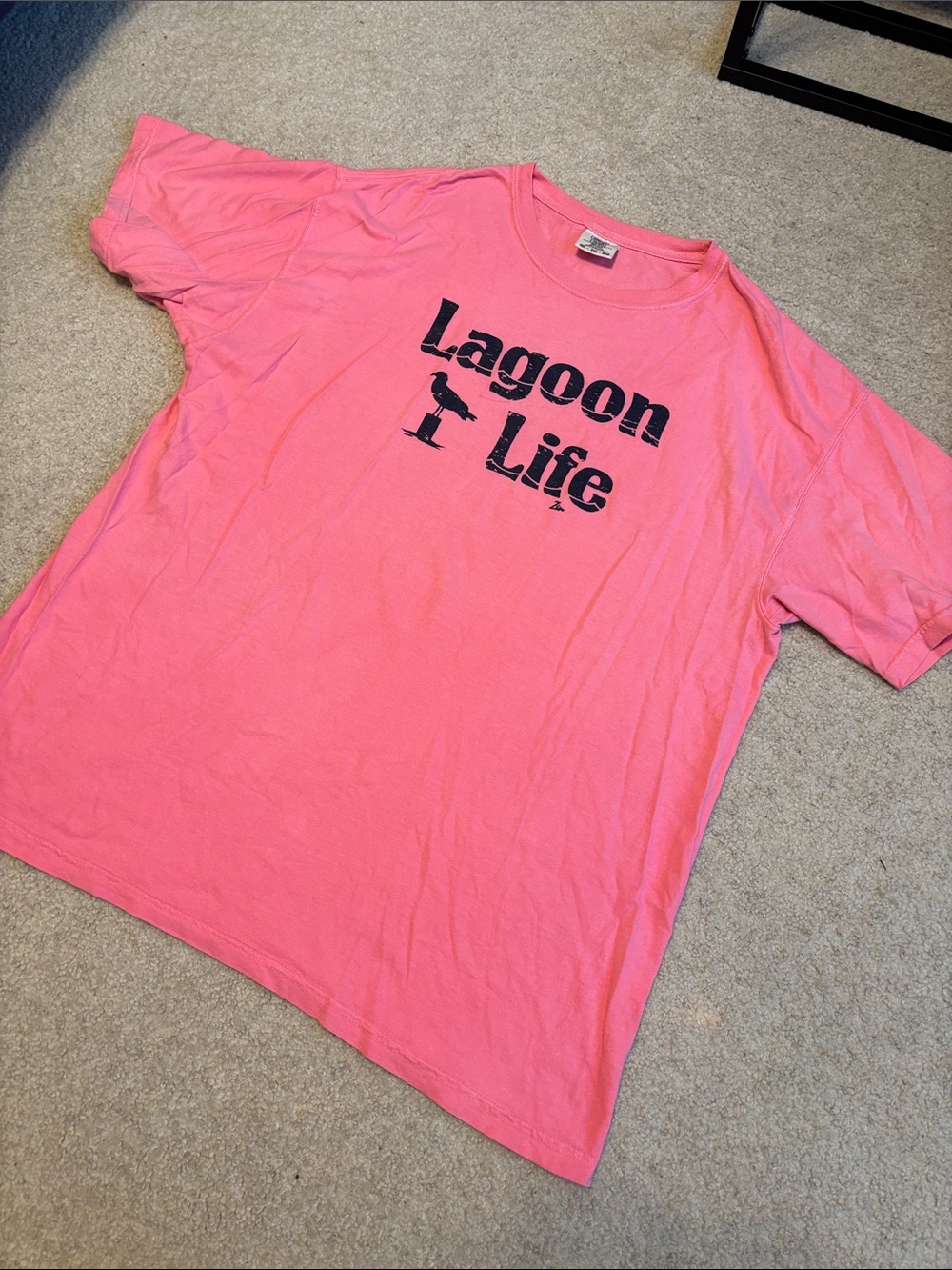 Comfort Colors Pink Lagoon Life Graphic Tee